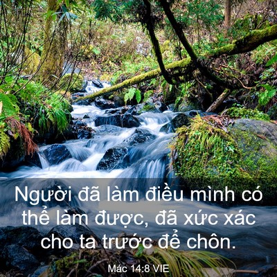 Picture 03 - Mác 14:8 VIE - Người đã làm điều mình có thể làm - Bible Verse Picture