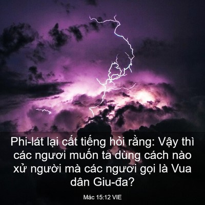 Picture 03 - Mác 15:12 VIE - Phi-lát lại cất tiếng hỏi rằng: Vậy - Bible Verse Picture