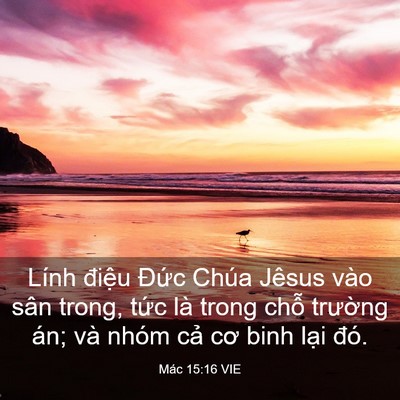 Picture 03 - Mác 15:16 VIE - Lính điệu Đức Chúa Jêsus vào sân - Bible Verse Picture