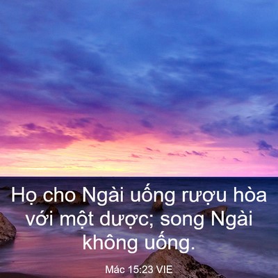Picture 03 - Mác 15:23 VIE - Họ cho Ngài uống rượu hòa với một - Bible Verse Picture