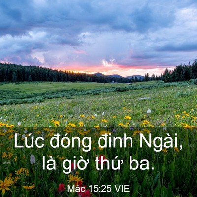 Picture 03 - Mác 15:25 VIE - Lúc đóng đinh Ngài, là giờ thứ - Bible Verse Picture