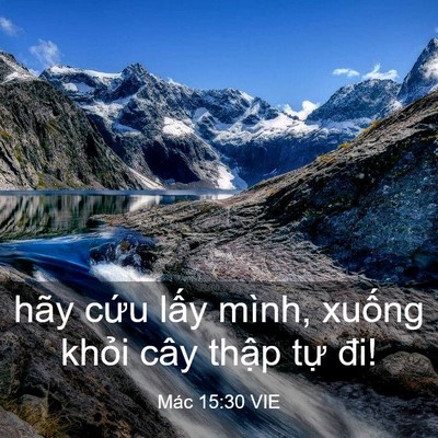 Picture 03 - Mác 15:30 VIE - hãy cứu lấy mình, xuống khỏi cây - Bible Verse Picture