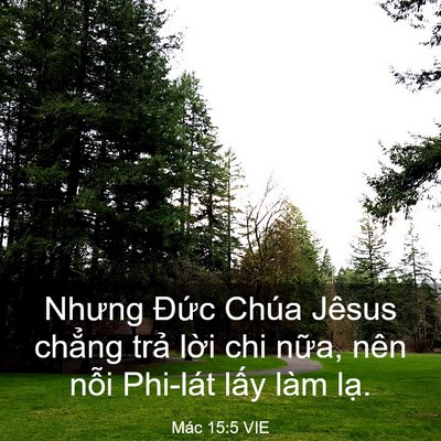 Picture 03 - Mác 15:5 VIE - Nhưng Đức Chúa Jêsus chẳng trả lời - Bible Verse Picture