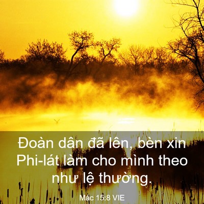 Picture 03 - Mác 15:8 VIE - Đoàn dân đã lên, bèn xin Phi-lát làm cho - Bible Verse Picture