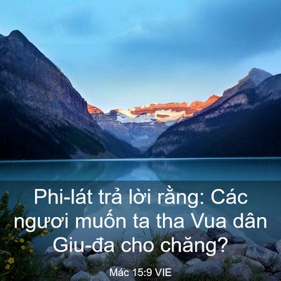 Picture 03 - Mác 15:9 VIE - Phi-lát trả lời rằng: Các ngươi muốn - Bible Verse Picture