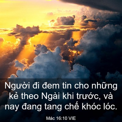 Picture 03 - Mác 16:10 VIE - Người đi đem tin cho những kẻ theo Ngài - Bible Verse Picture