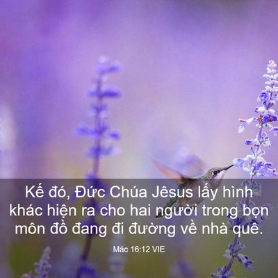 Picture 03 - Mác 16:12 VIE - Kế đó, Đức Chúa Jêsus lấy hình khác - Bible Verse Picture