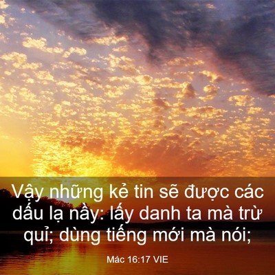 Picture 03 - Mác 16:17 VIE - Vậy những kẻ tin sẽ được các dấu - Bible Verse Picture