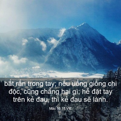 Picture 03 - Mác 16:18 VIE - bắt rắn trong tay; nếu uống giống chi - Bible Verse Picture