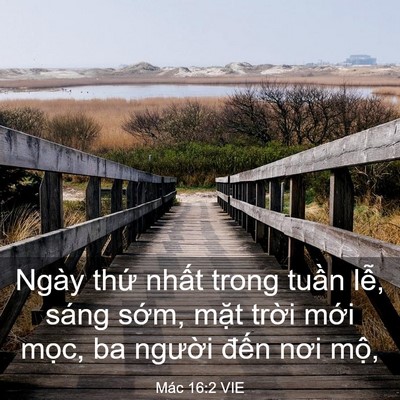 Picture 03 - Mác 16:2 VIE - Ngày thứ nhất trong tuần lễ, sáng - Bible Verse Picture