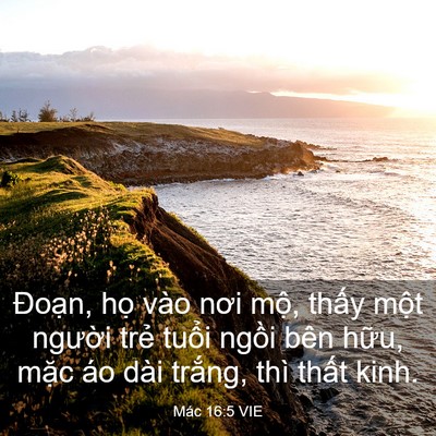 Picture 03 - Mác 16:5 VIE - Đoạn, họ vào nơi mộ, thấy một - Bible Verse Picture