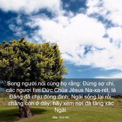 Picture 03 - Mác 16:6 VIE - Song người nói cùng họ rằng: Đừng - Bible Verse Picture