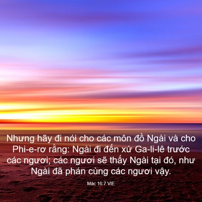 Picture 03 - Mác 16:7 VIE - Nhưng hãy đi nói cho các môn đồ Ngài - Bible Verse Picture