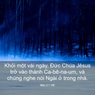 Picture 03 - Mác 2:1 VIE - Khỏi một vài ngày, Đức Chúa Jêsus - Bible Verse Picture