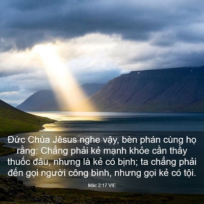 Picture 03 - Mác 2:17 VIE - Đức Chúa Jêsus nghe vậy, bèn phán cùng - Bible Verse Picture