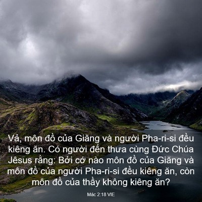Picture 03 - Mác 2:18 VIE - Vả, môn đồ của Giăng và người - Bible Verse Picture