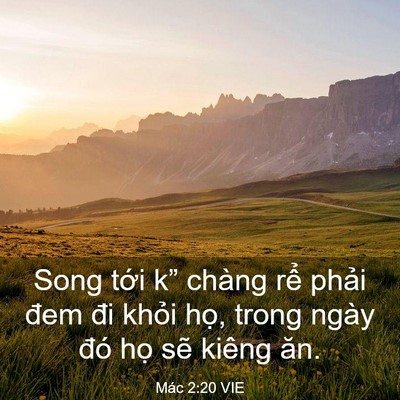 Picture 03 - Mác 2:20 VIE - Song tới k” chàng rể phải đem đi - Bible Verse Picture