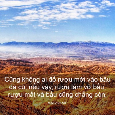 Picture 03 - Mác 2:22 VIE - Cũng không ai đổ rượu mới vào bầu da - Bible Verse Picture