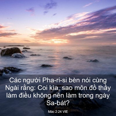 Picture 03 - Mác 2:24 VIE - Các người Pha-ri-si bèn nói cùng Ngài - Bible Verse Picture