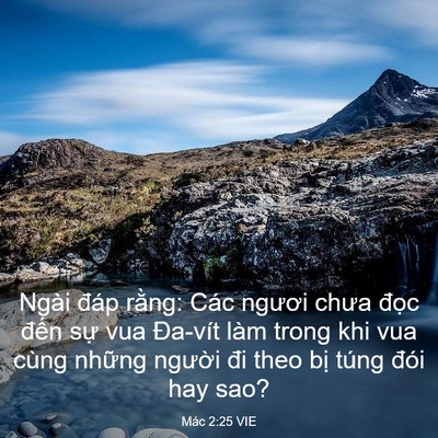 Picture 03 - Mác 2:25 VIE - Ngài đáp rằng: Các ngươi chưa đọc - Bible Verse Picture