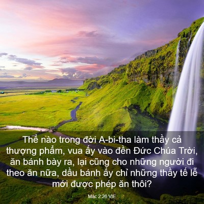 Picture 03 - Mác 2:26 VIE - Thể nào trong đời A-bi-tha làm thầy cả - Bible Verse Picture