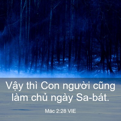 Picture 03 - Mác 2:28 VIE - Vậy thì Con người cũng làm chủ ngày - Bible Verse Picture