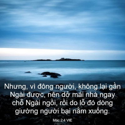 Picture 03 - Mác 2:4 VIE - Nhưng, vì đông người, không lại gần - Bible Verse Picture