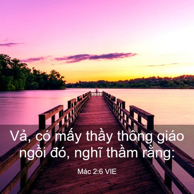 Picture 03 - Mác 2:6 VIE - Vả, có mấy thầy thông giáo ngồi đó, - Bible Verse Picture