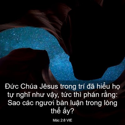 Picture 03 - Mác 2:8 VIE - Đức Chúa Jêsus trong trí đã hiểu họ - Bible Verse Picture