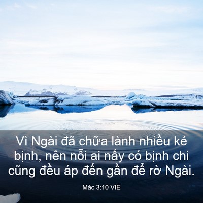 Picture 03 - Mác 3:10 VIE - Vì Ngài đã chữa lành nhiều kẻ bịnh, - Bible Verse Picture