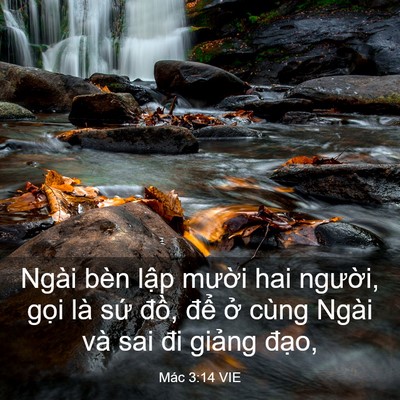 Picture 03 - Mác 3:14 VIE - Ngài bèn lập mười hai người, gọi là - Bible Verse Picture