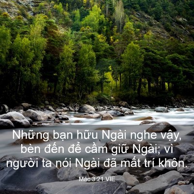 Picture 03 - Mác 3:21 VIE - Những bạn hữu Ngài nghe vậy, bèn đến - Bible Verse Picture