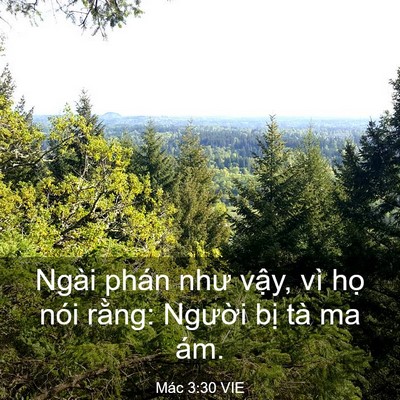 Picture 03 - Mác 3:30 VIE - Ngài phán như vậy, vì họ nói rằng: - Bible Verse Picture