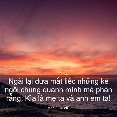 Picture 03 - Mác 3:34 VIE - Ngài lại đưa mắt liếc những kẻ - Bible Verse Picture