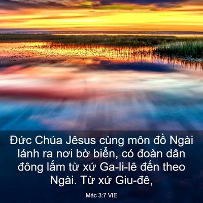Picture 03 - Mác 3:7 VIE - Đức Chúa Jêsus cùng môn đồ Ngài lánh - Bible Verse Picture