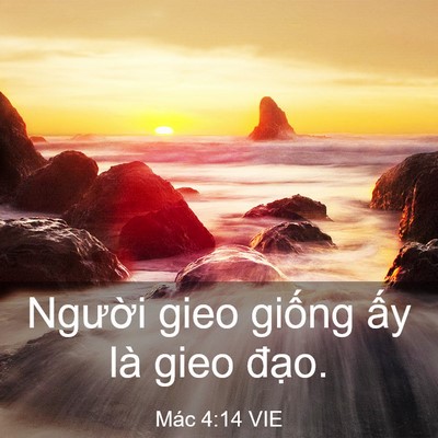 Picture 03 - Mác 4:14 VIE - Người gieo giống ấy là gieo - Bible Verse Picture