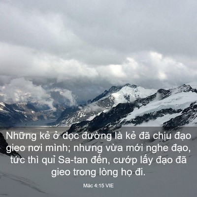 Picture 03 - Mác 4:15 VIE - Những kẻ ở dọc đường là kẻ đã - Bible Verse Picture