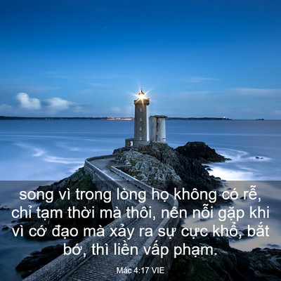 Picture 03 - Mác 4:17 VIE - song vì trong lòng họ không có rễ, chỉ - Bible Verse Picture