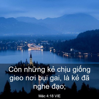 Picture 03 - Mác 4:18 VIE - Còn những kẻ chịu giống gieo nơi bụi - Bible Verse Picture