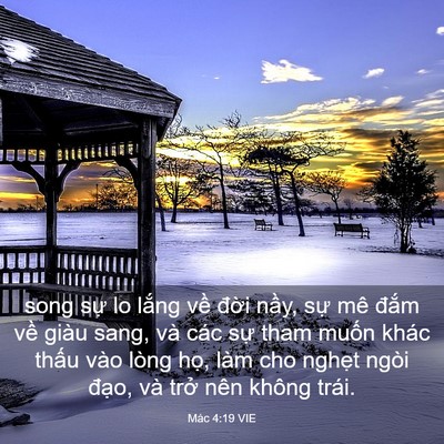 Picture 03 - Mác 4:19 VIE - song sự lo lắng về đời nầy, sự mê - Bible Verse Picture