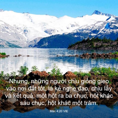 Picture 03 - Mác 4:20 VIE - Nhưng, những người chịu giống gieo vào - Bible Verse Picture