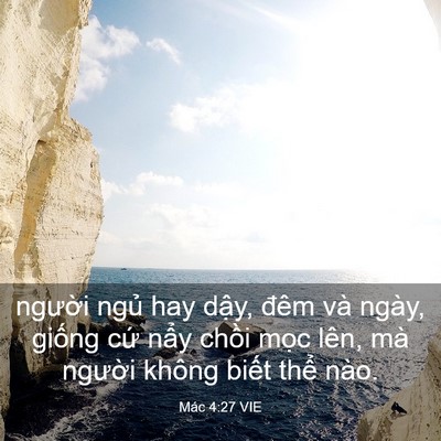 Picture 03 - Mác 4:27 VIE - người ngủ hay dậy, đêm và ngày, - Bible Verse Picture