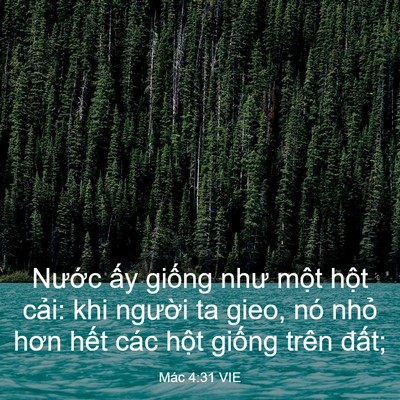 Picture 03 - Mác 4:31 VIE - Nước ấy giống như một hột cải: khi - Bible Verse Picture