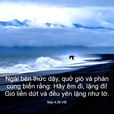 Picture 03 - Mác 4:39 VIE - Ngài bèn thức dậy, quở gió và phán - Bible Verse Picture