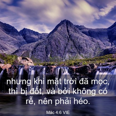 Picture 03 - Mác 4:6 VIE - nhưng khi mặt trời đã mọc, thì bị - Bible Verse Picture