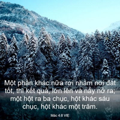 Picture 03 - Mác 4:8 VIE - Một phần khác nữa rơi nhằm nơi đất - Bible Verse Picture