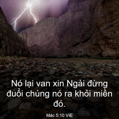 Picture 03 - Mác 5:10 VIE - Nó lại van xin Ngài đừng đuổi chúng - Bible Verse Picture