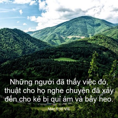 Picture 03 - Mác 5:16 VIE - Những người đã thấy việc đó, thuật - Bible Verse Picture