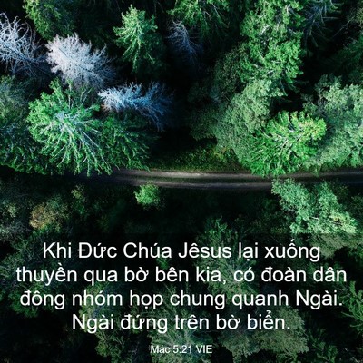 Picture 03 - Mác 5:21 VIE - Khi Đức Chúa Jêsus lại xuống thuyền - Bible Verse Picture