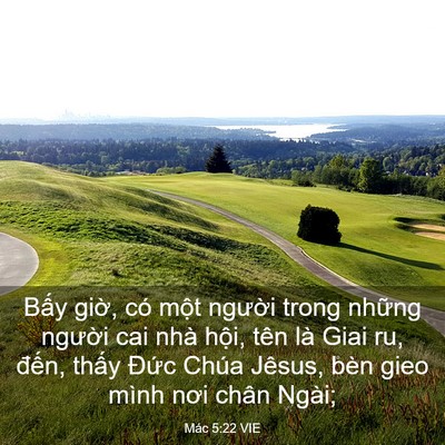 Picture 03 - Mác 5:22 VIE - Bấy giờ, có một người trong những - Bible Verse Picture